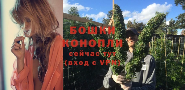 мдпв Верхний Тагил