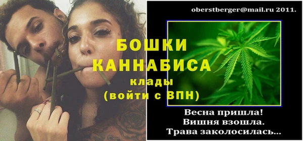 дмт Верея